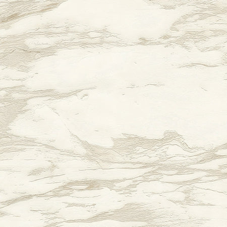 Papel Tapiz Roberto Cavalli RC9 – Diseño Premium