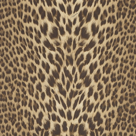 Papel Tapiz Roberto Cavalli RC9 – Leopardo Animal Print
