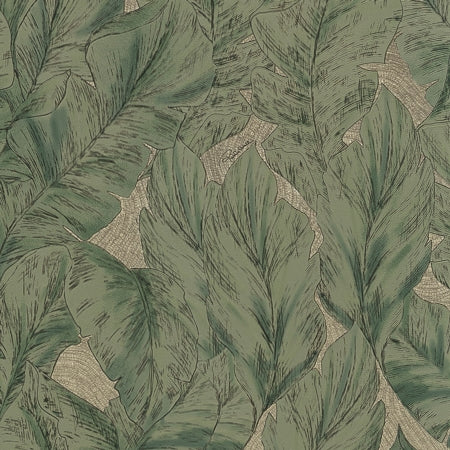 Papel Tapiz Roberto Cavalli RC9 – Diseño Tropical